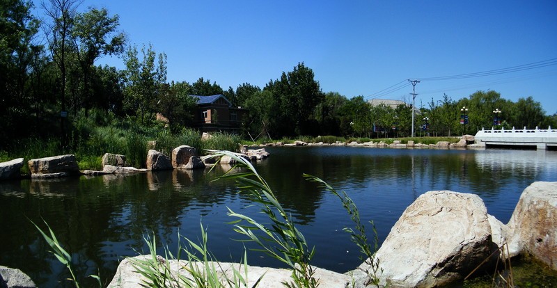 溫泉+康復療養(yǎng)