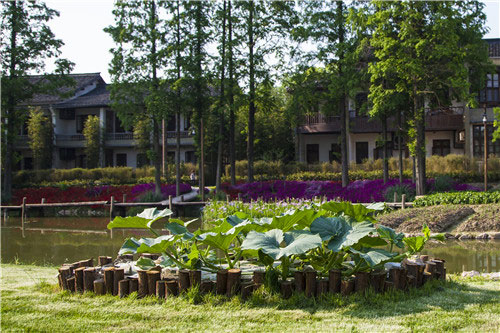 烏村鄉(xiāng)野景觀設(shè)計